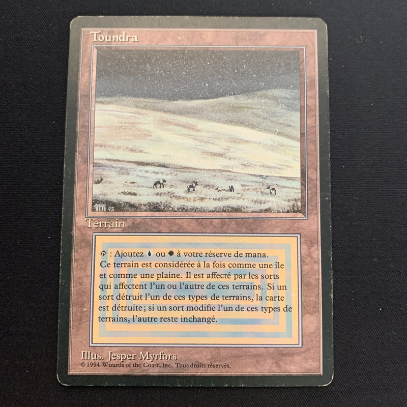 Magic the Gathering Tundra - Foreign Black Bordered - French 