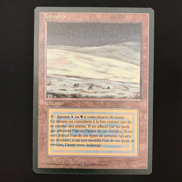 Magic the Gathering Tundra - Foreign Black Bordered - French 