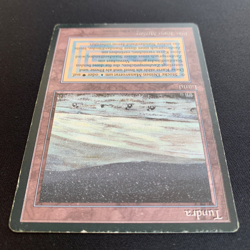 Magic the Gathering Tundra - Foreign Black Bordered - German 