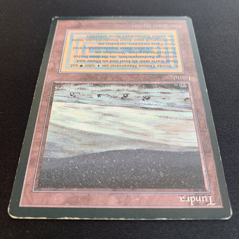 Magic the Gathering Tundra - Foreign Black Bordered - German 