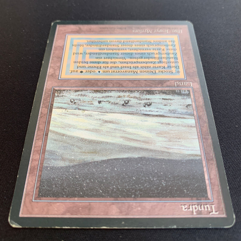 Magic the Gathering Tundra - Foreign Black Bordered - German 