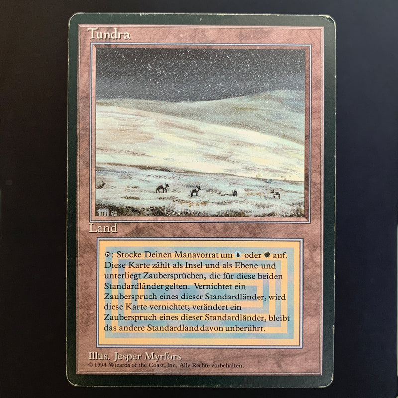 Magic the Gathering Tundra - Foreign Black Bordered - German 