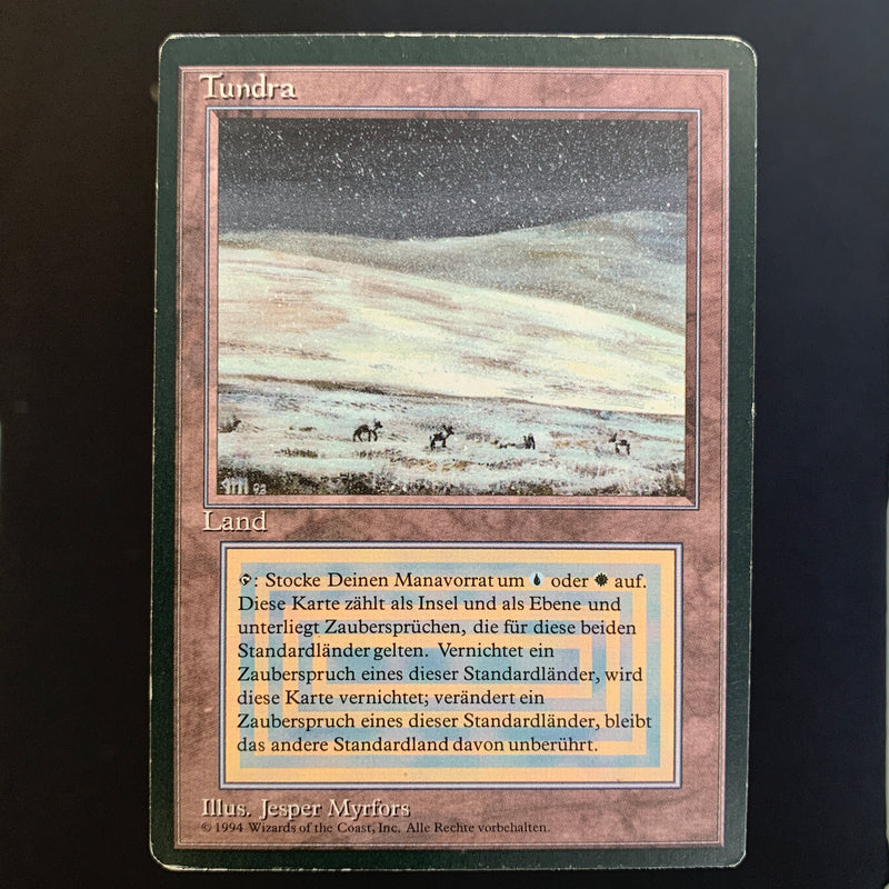 Magic the Gathering Tundra - Foreign Black Bordered - German 