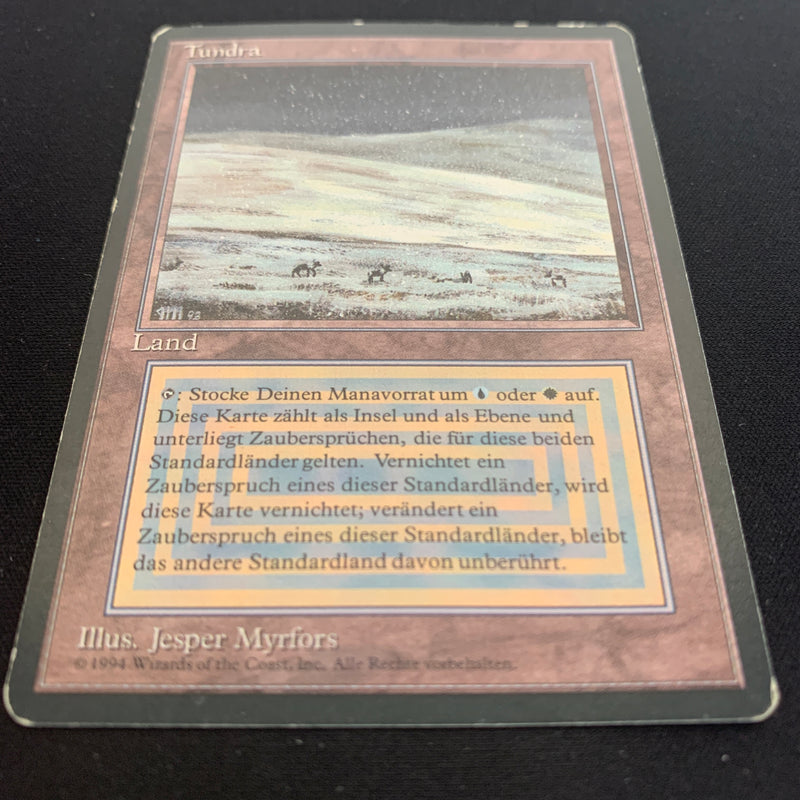 Magic the Gathering Tundra - Foreign Black Bordered - German 