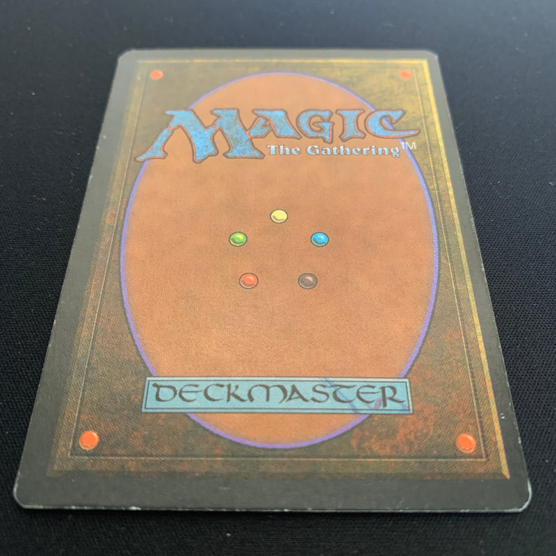 Magic the Gathering Tundra - Foreign Black Bordered - German 