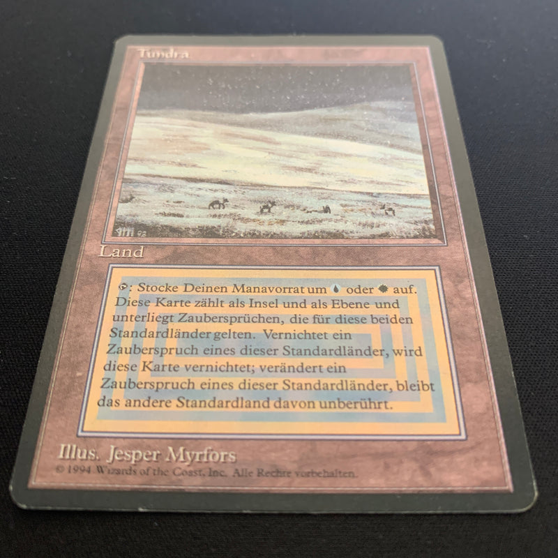 Magic the Gathering Tundra - Foreign Black Bordered - German 