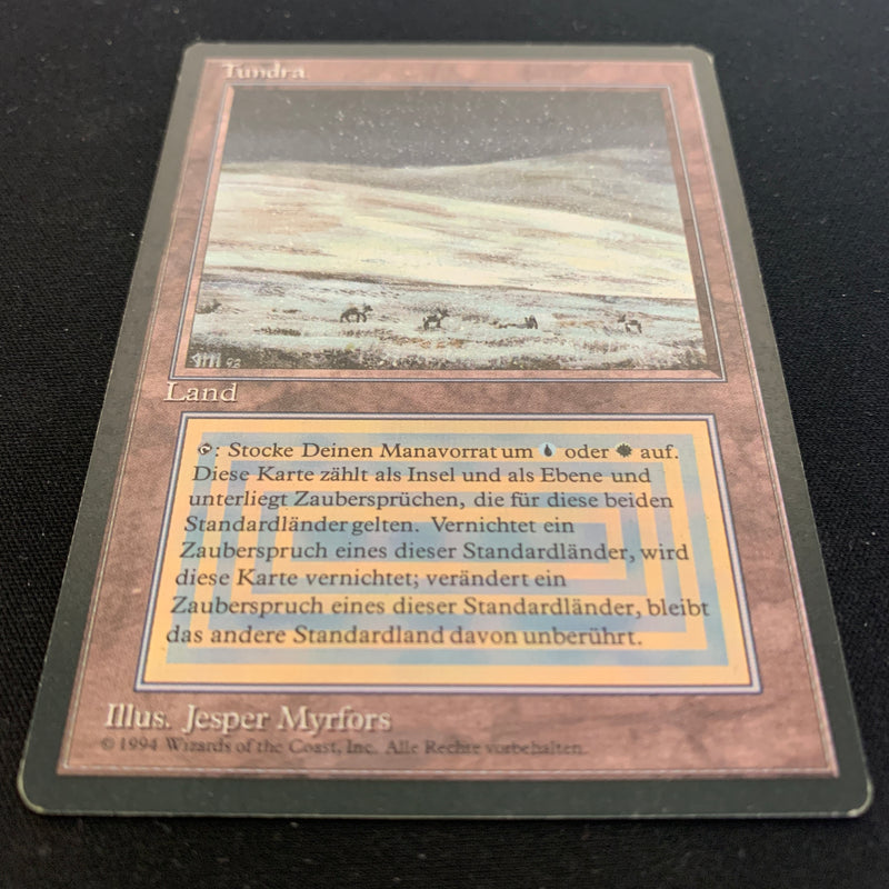 Magic the Gathering Tundra - Foreign Black Bordered - German 