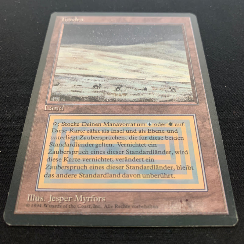 Magic the Gathering Tundra - Foreign Black Bordered - German 