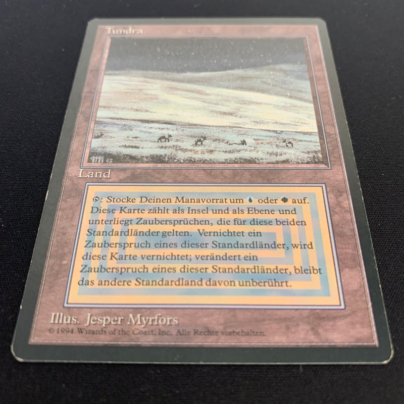 Magic the Gathering Tundra - Foreign Black Bordered - German 