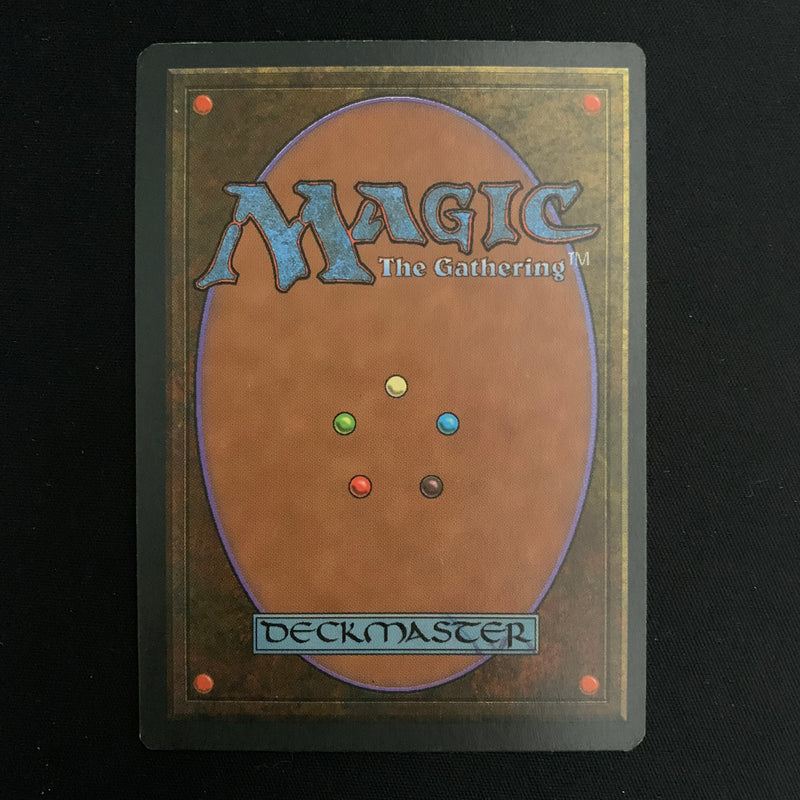 Magic the Gathering Tundra - Foreign Black Bordered - German 