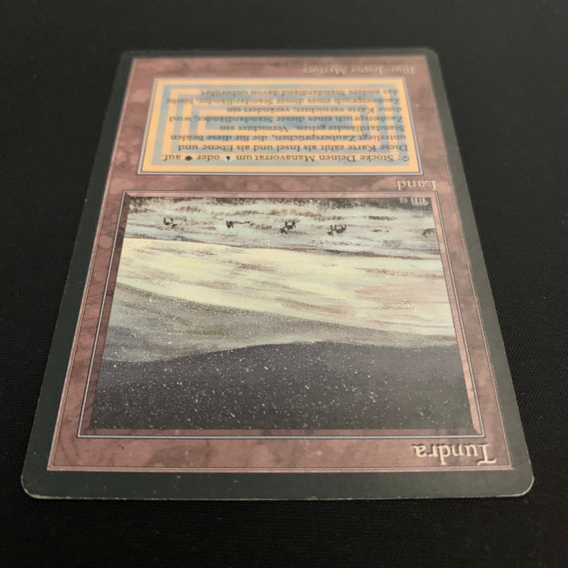 Magic the Gathering Tundra - Foreign Black Bordered - German 