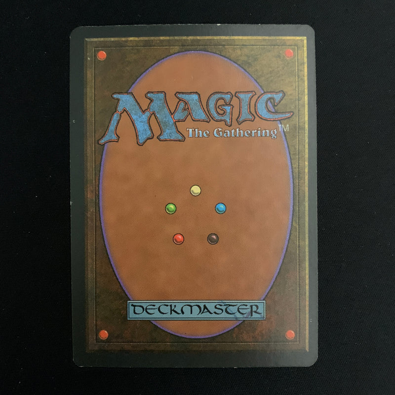 Magic the Gathering Tundra - Foreign Black Bordered - German 