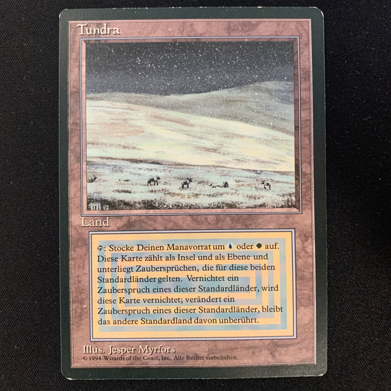 Magic the Gathering Tundra - Foreign Black Bordered - German EX - 24635