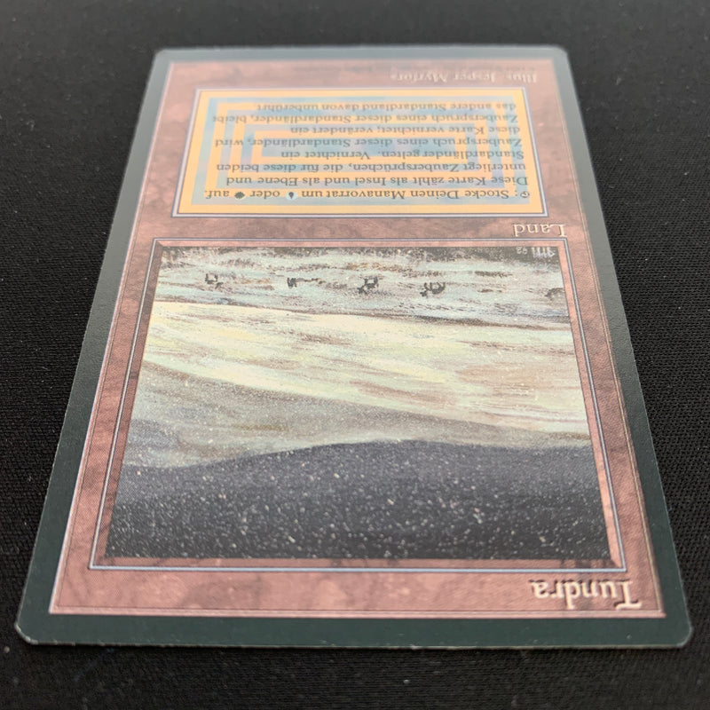 Magic the Gathering Tundra - Foreign Black Bordered - German 