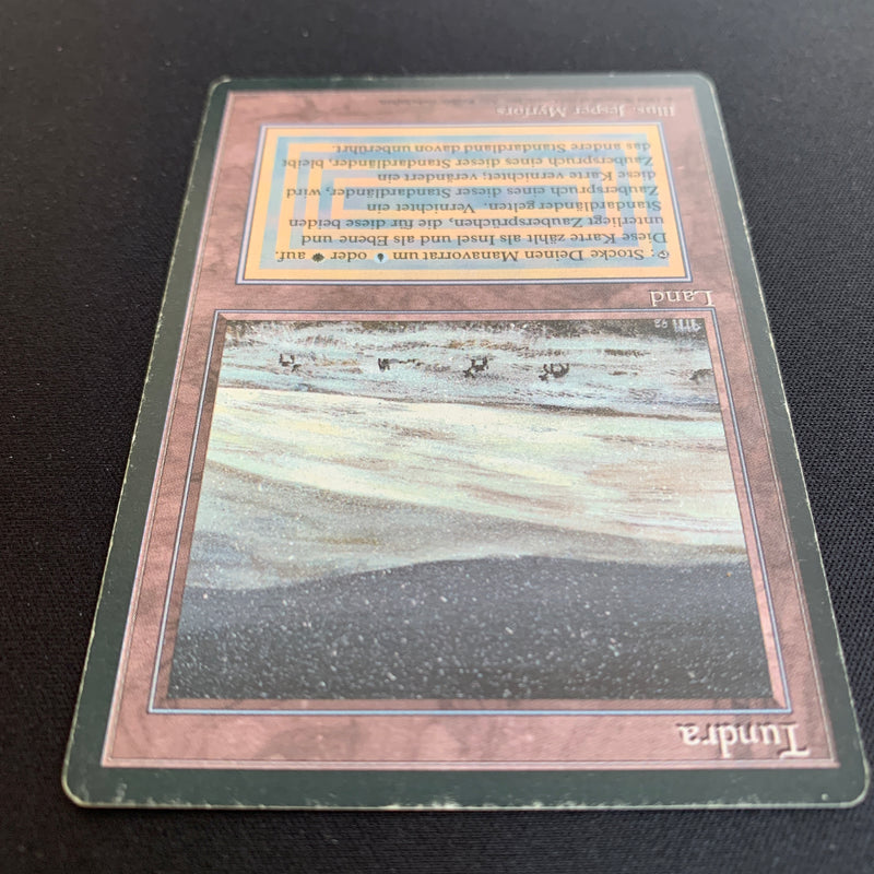 Magic the Gathering Tundra - Foreign Black Bordered - German 