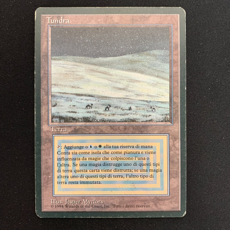 Magic the Gathering Tundra - Foreign Black Bordered - Italian 