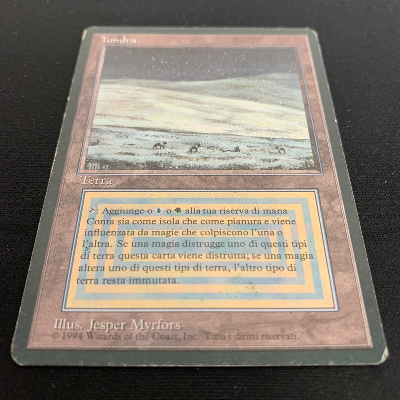 Magic the Gathering Tundra - Foreign Black Bordered - Italian 