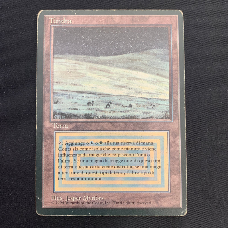 Magic the Gathering Tundra - Foreign Black Bordered - Italian 