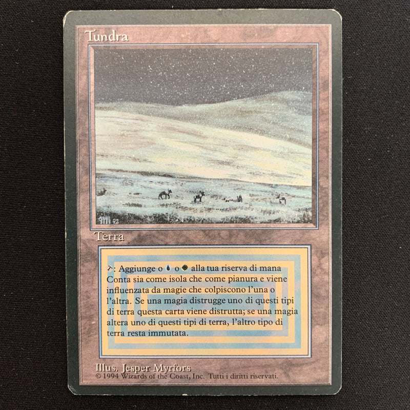 Magic the Gathering Tundra - Foreign Black Bordered - Italian 