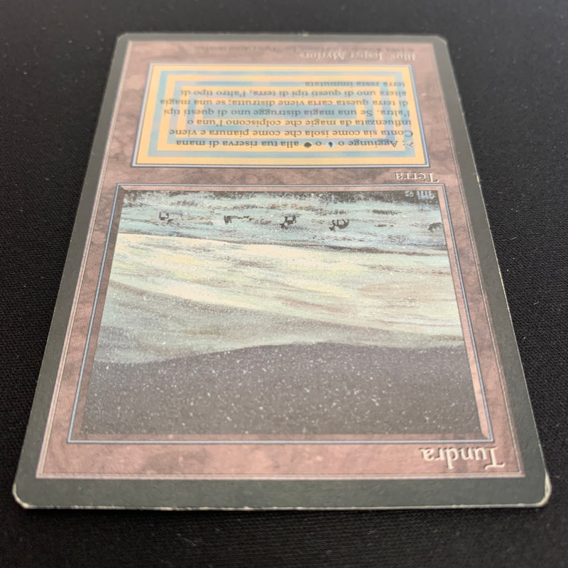 Magic the Gathering Tundra - Foreign Black Bordered - Italian 