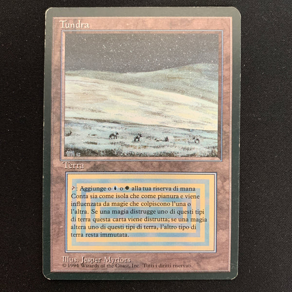 Magic the Gathering Tundra - Foreign Black Bordered - Italian 