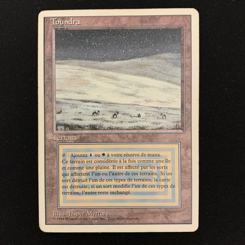 Magic the Gathering Tundra - Foreign White Bordered - French 