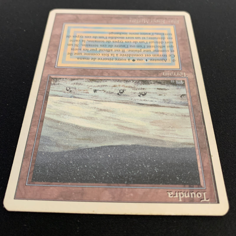 Magic the Gathering Tundra - Foreign White Bordered - French 