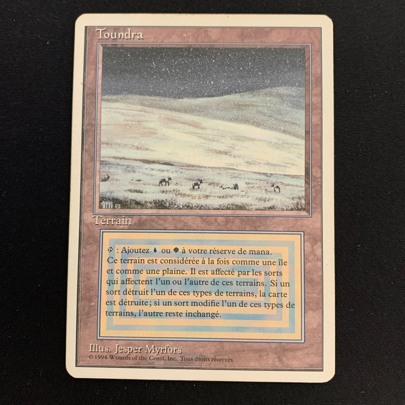 Magic the Gathering Tundra - Foreign White Bordered - French 