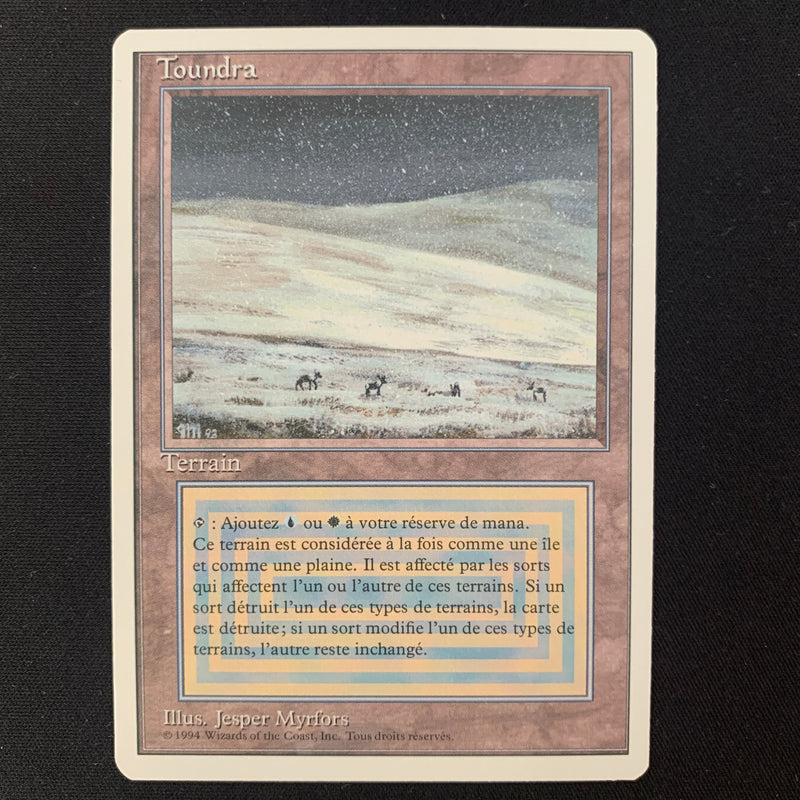 Magic the Gathering Tundra - Foreign White Bordered - Italian 