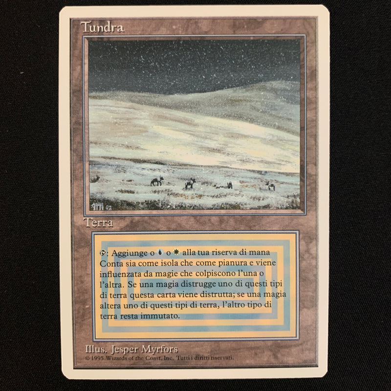 Magic the Gathering Tundra - Foreign White Bordered - Italian 