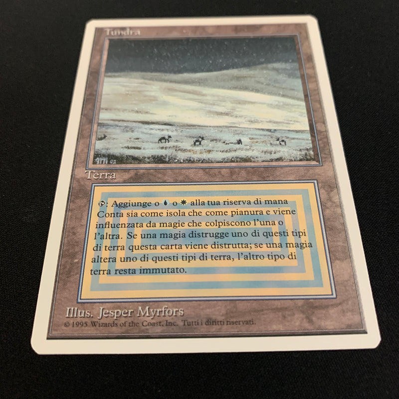 Magic the Gathering Tundra - Foreign White Bordered - Italian 