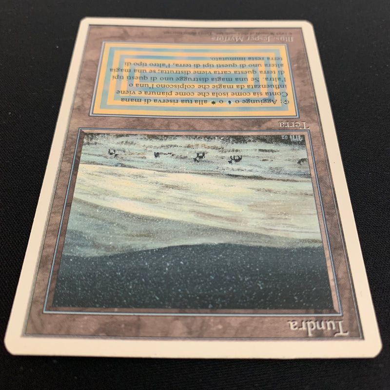 Magic the Gathering Tundra - Foreign White Bordered - Italian 