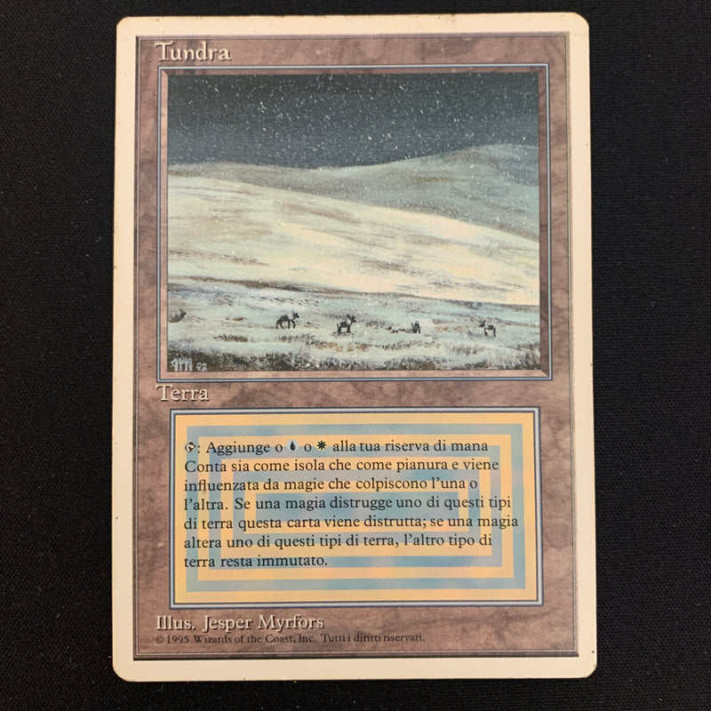 Magic the Gathering Tundra - Foreign White Bordered - Italian LP - 24535