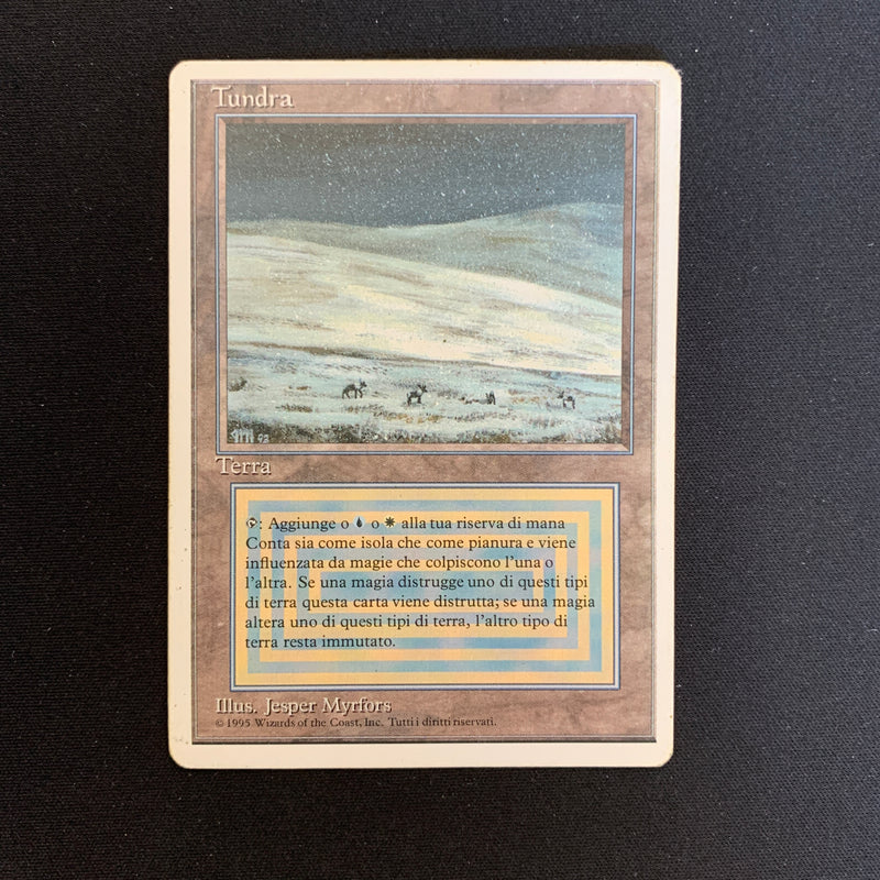 Magic the Gathering Tundra - Foreign White Bordered - Italian 