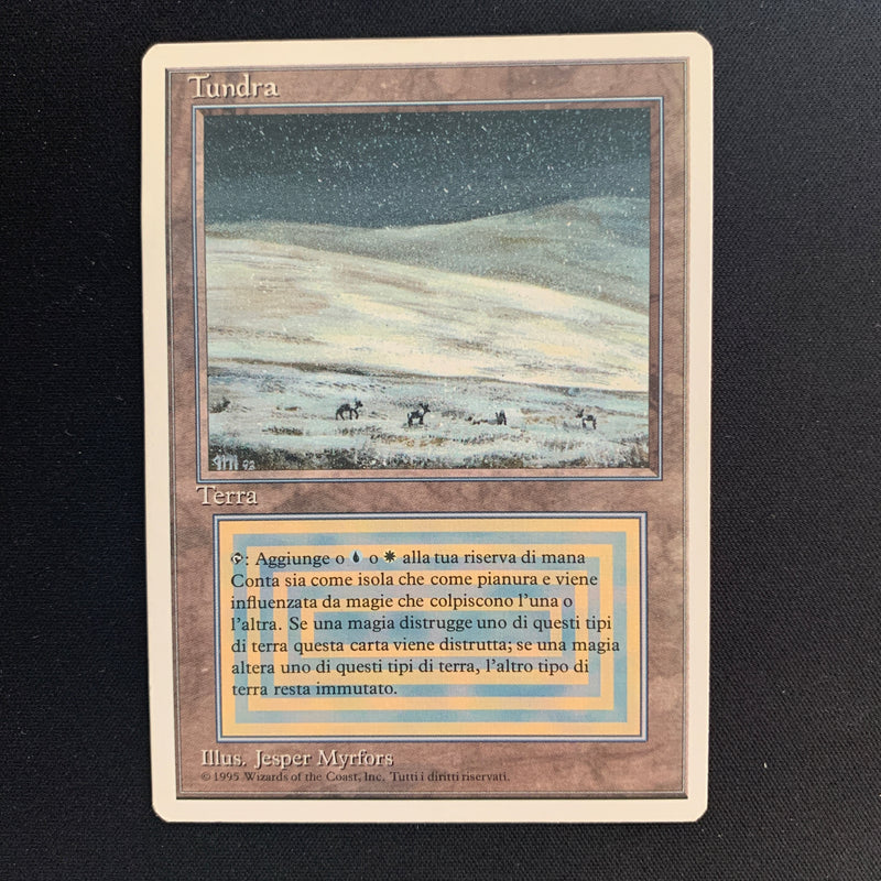 Magic the Gathering Tundra - Foreign White Bordered - Italian 