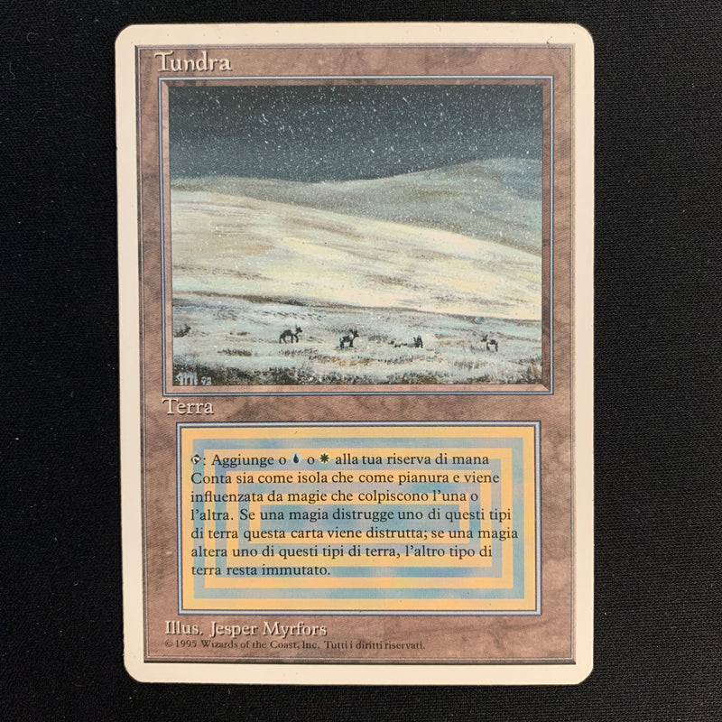 Magic the Gathering Tundra - Foreign White Bordered - Italian 