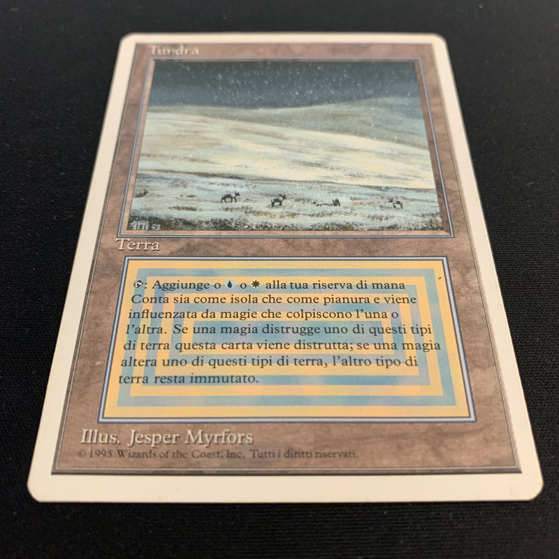 Magic the Gathering Tundra - Foreign White Bordered - Italian 