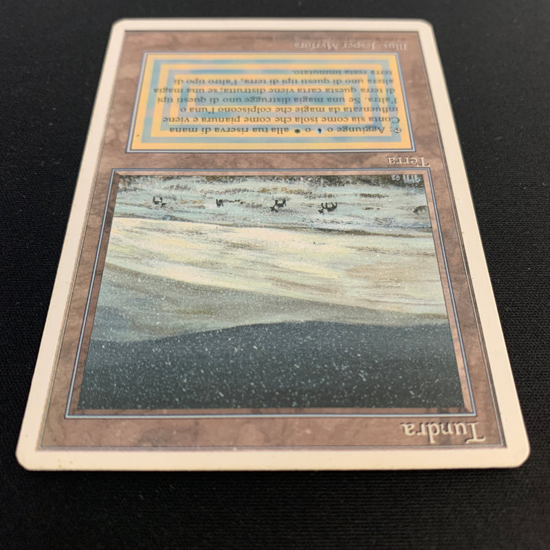 Magic the Gathering Tundra - Foreign White Bordered - Italian 