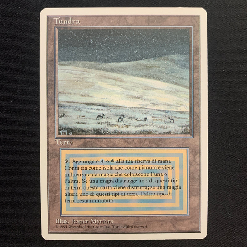 Magic the Gathering Tundra - Foreign White Bordered - Italian 