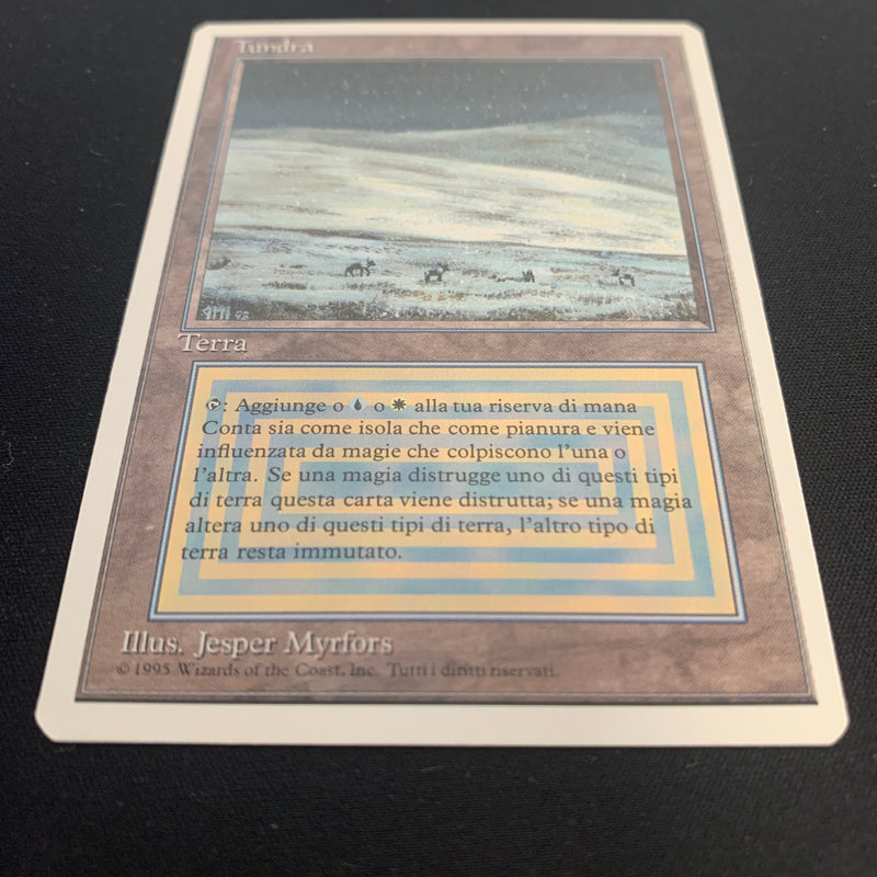 Magic the Gathering Tundra - Foreign White Bordered - Italian 