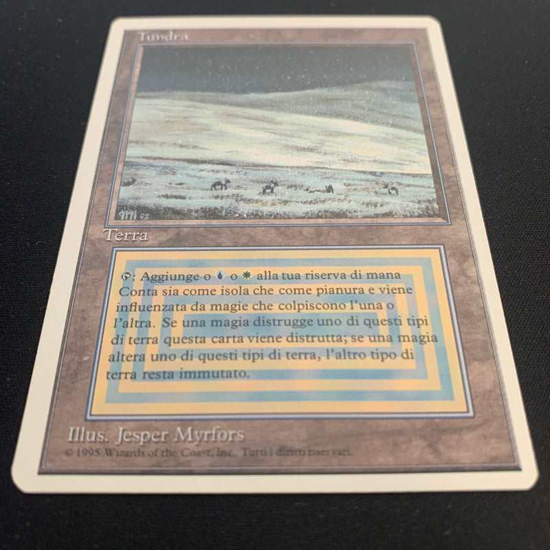 Magic the Gathering Tundra - Foreign White Bordered - Italian 