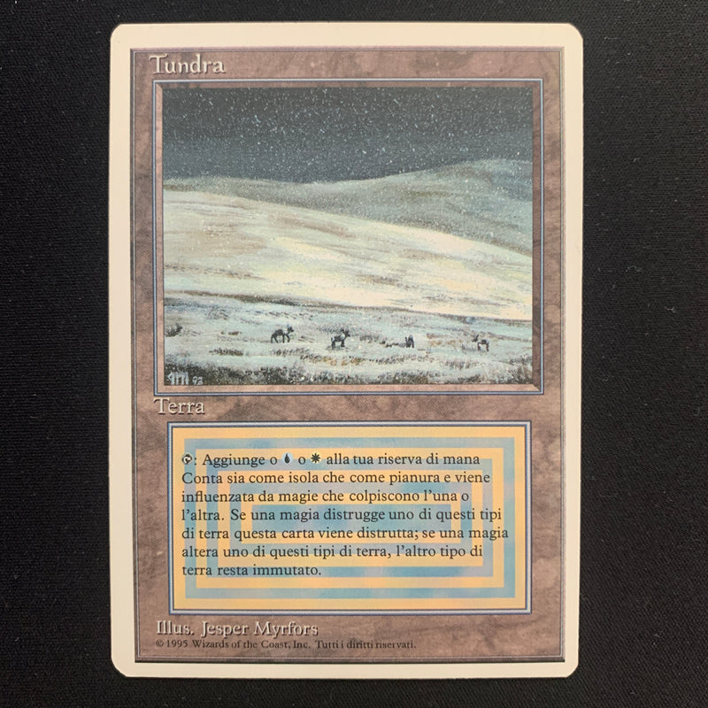 Magic the Gathering Tundra - Foreign White Bordered - Italian 