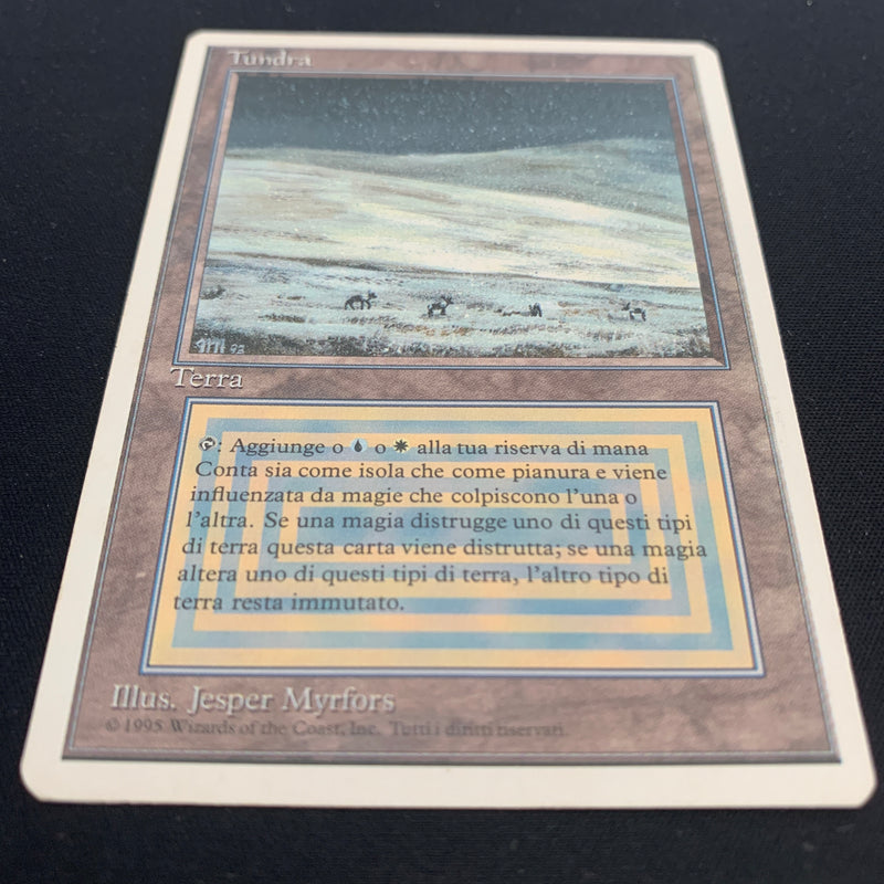 Magic the Gathering Tundra - Foreign White Bordered - Italian 