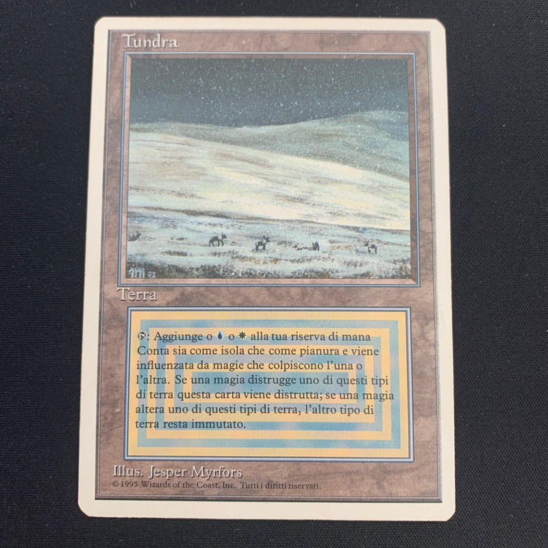 Magic the Gathering Tundra - Foreign White Bordered - Italian 