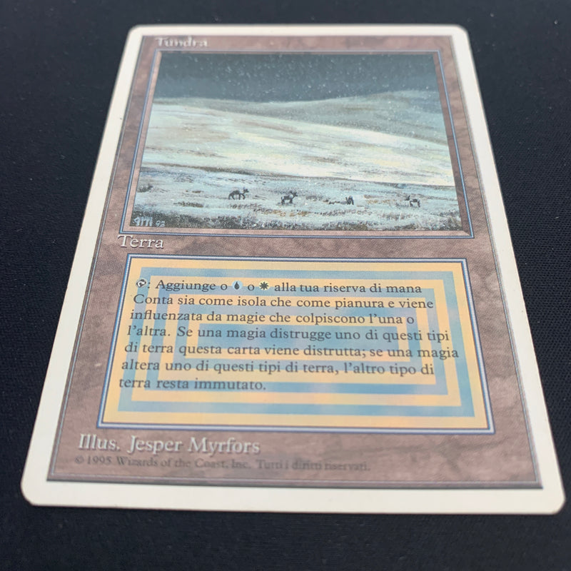 Magic the Gathering Tundra - Foreign White Bordered - Italian 