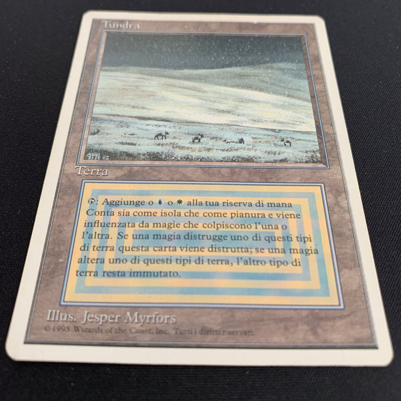 Magic the Gathering Tundra - Foreign White Bordered - Italian 