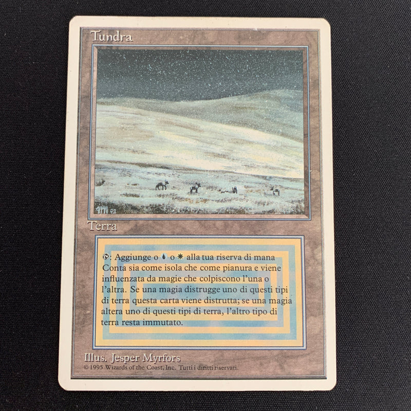 Magic the Gathering Tundra - Foreign White Bordered - Italian 