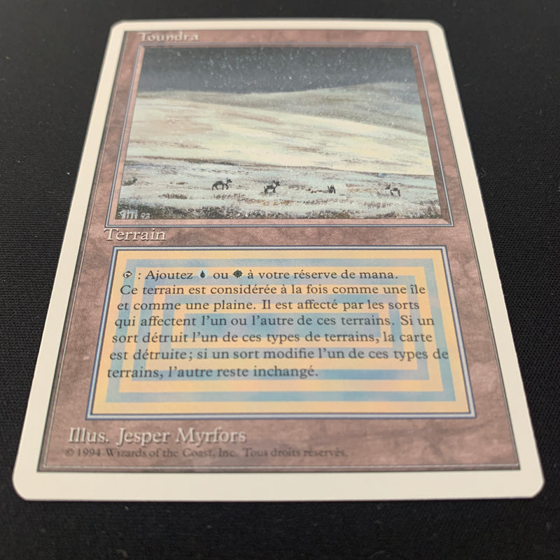 Magic the Gathering Tundra - Foreign White Bordered - Italian 