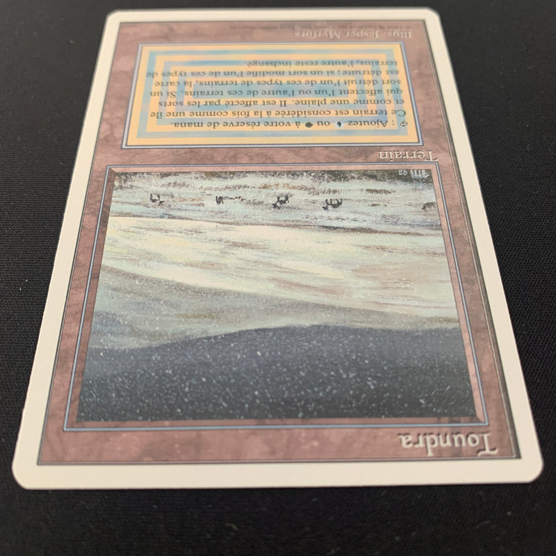 Magic the Gathering Tundra - Foreign White Bordered - Italian 