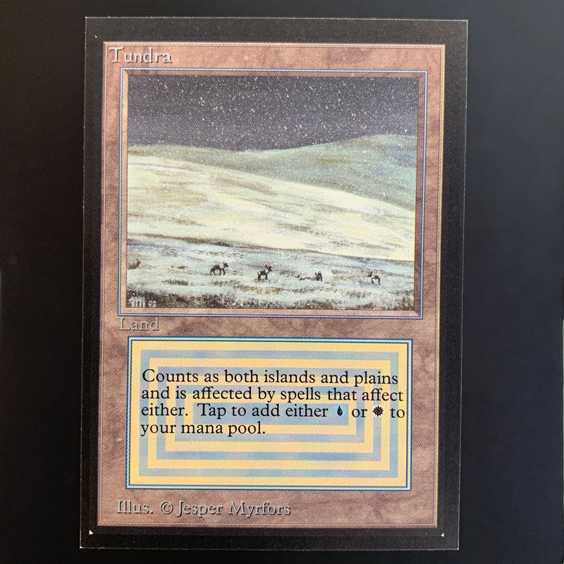 Magic the Gathering Tundra - International Edition 